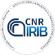 CNR-IRIB - Istituto per la Ricerca e l'Innovazione Biomedica